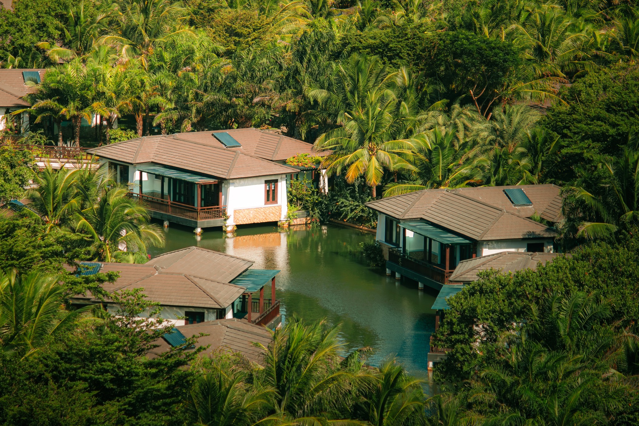 Duyen Ha Forest Cam Ranh